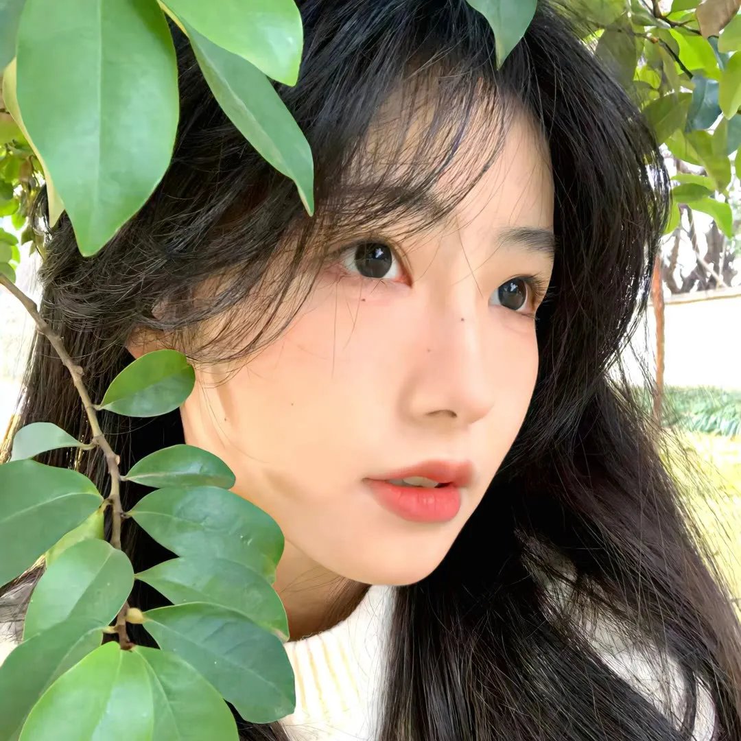 绿色直接行动